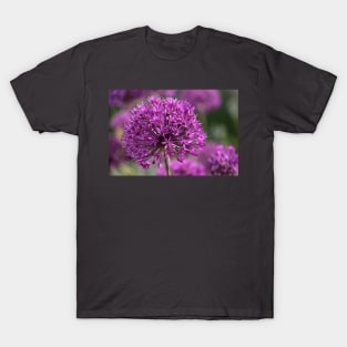 Powerflower T-Shirt